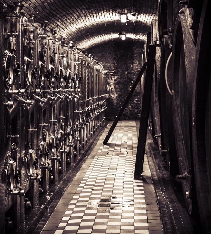 Penzion Vino Hruska Blatnička エクステリア 写真